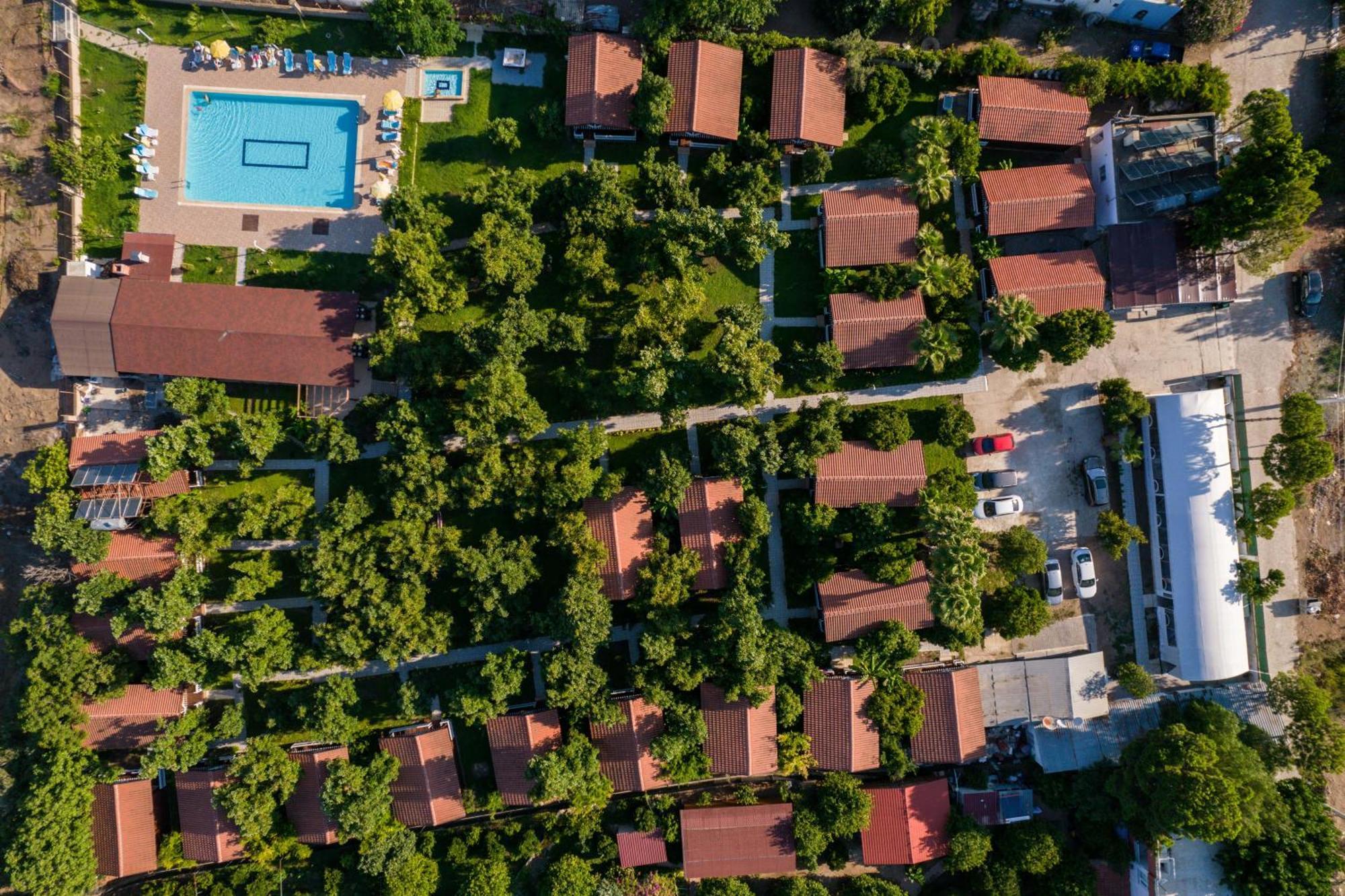 Apella 3* Çıralı